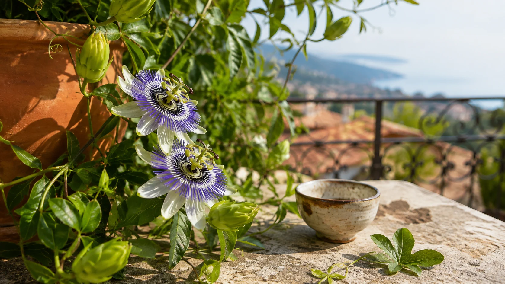 Fiori di passiflora su una terrazza accanto a una tazza senza etichetta